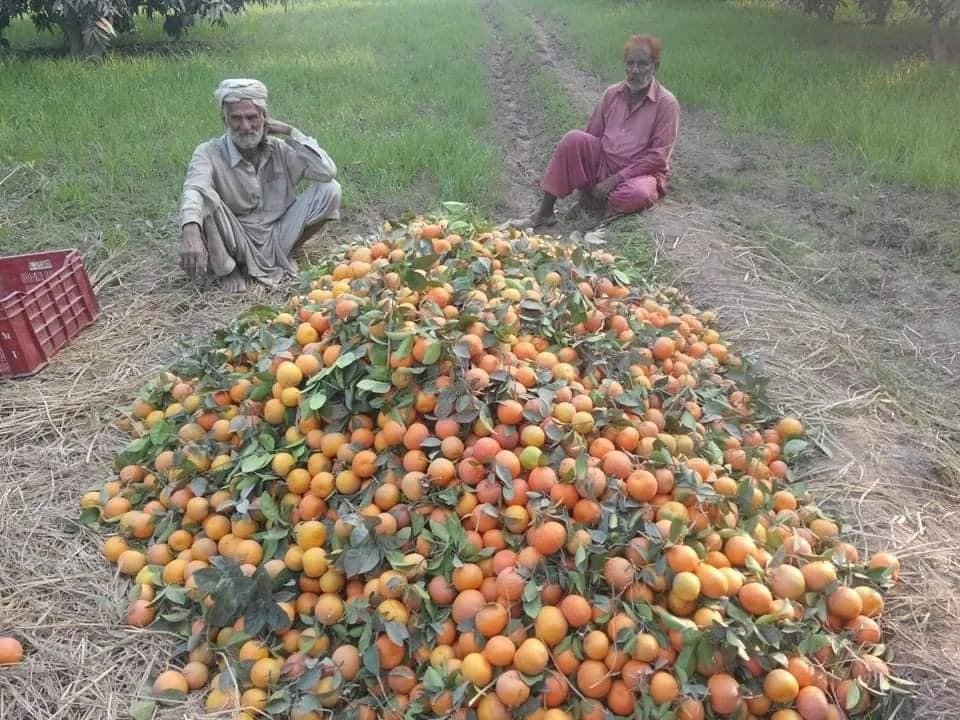 1728821259093.webp