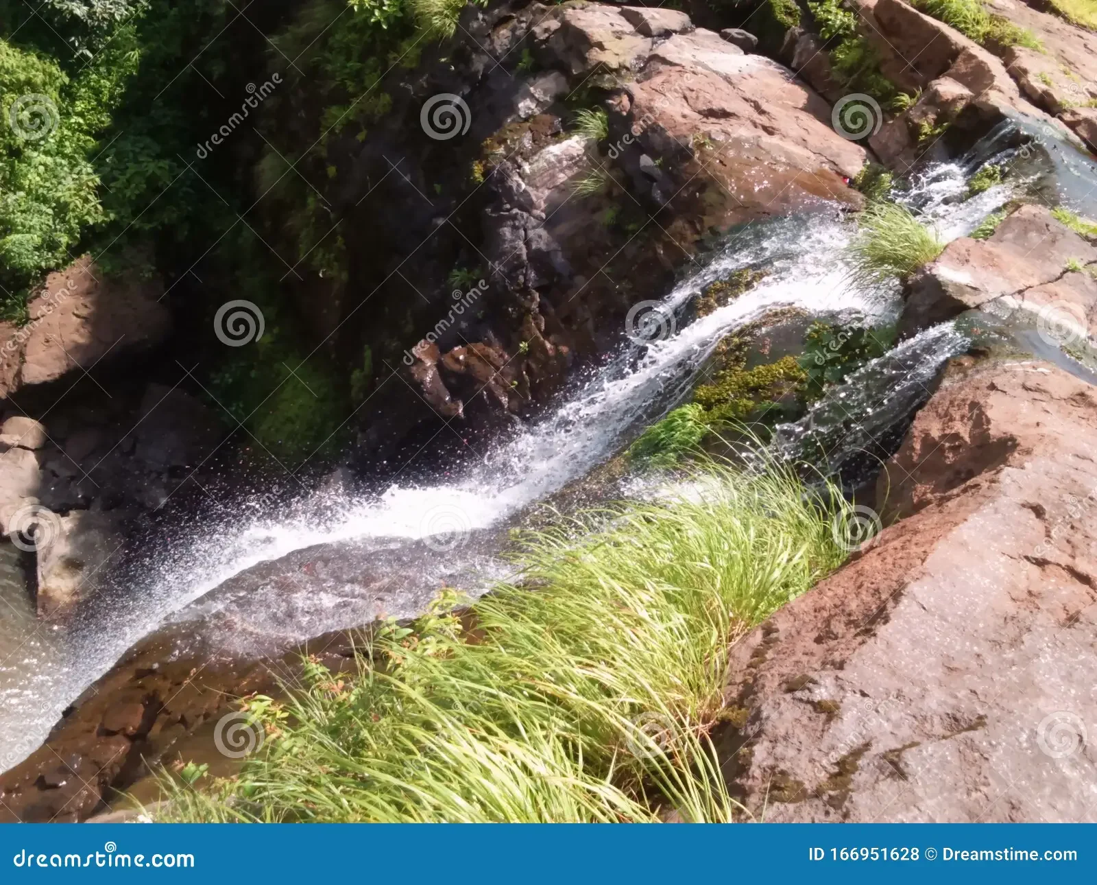 1779795012421.webp