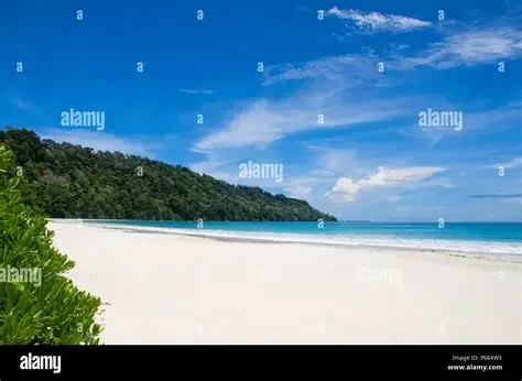 1779795314378.webp