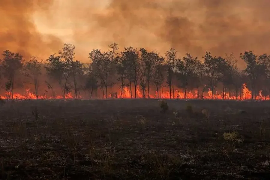 1792538357610.webp