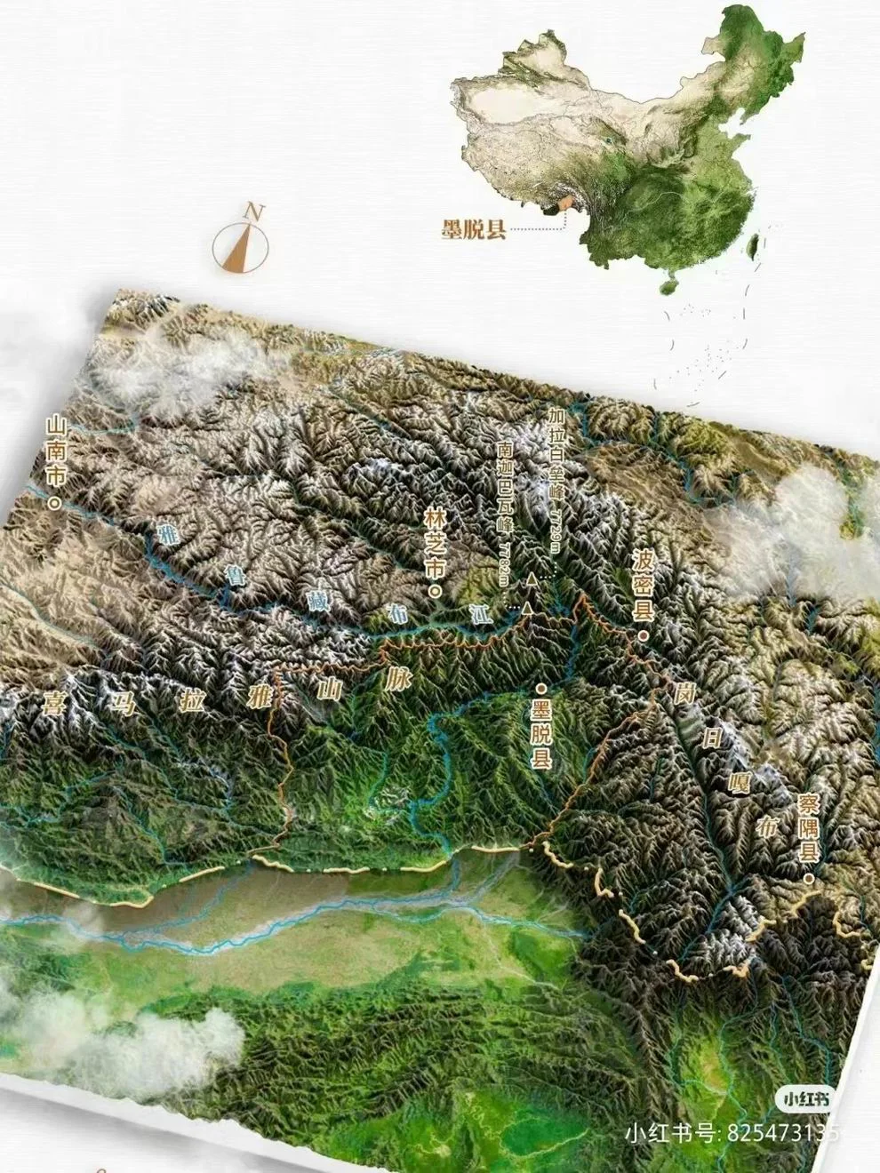 231124145747 (1).webp