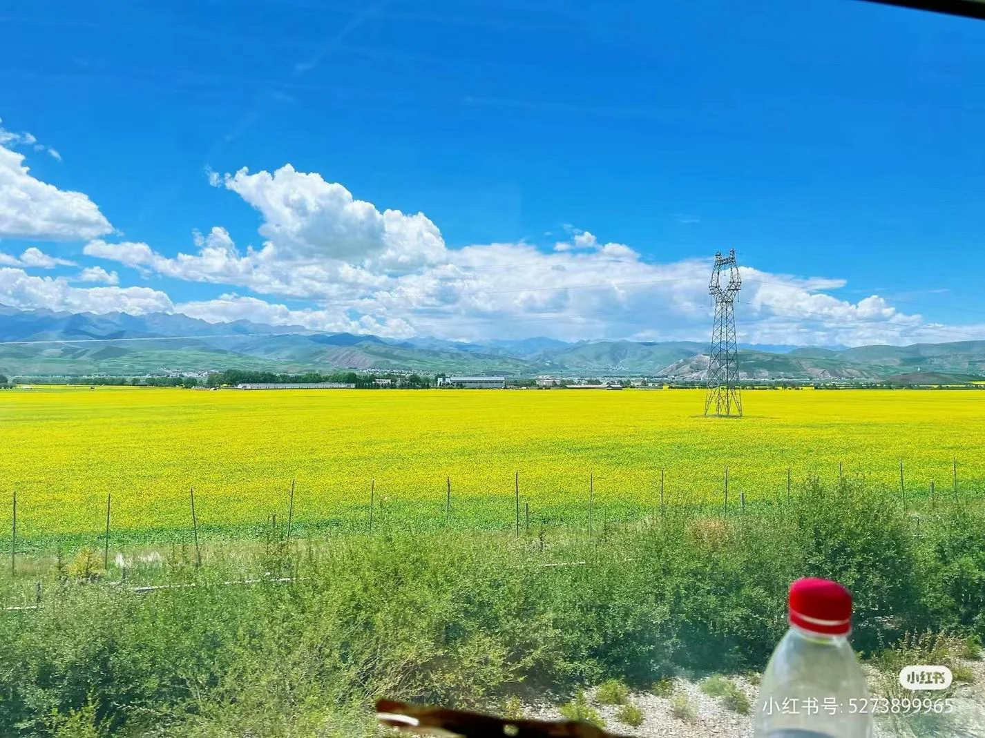 34322.webp