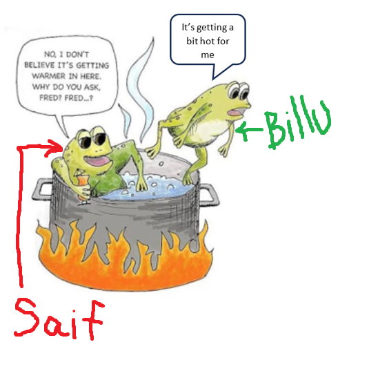 Boiling_the_frog_Image_1_Updated.png