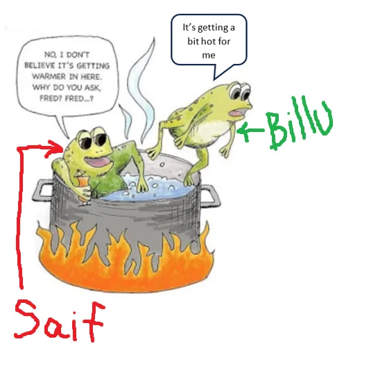 Boiling_the_frog_Image_1_Updated.webp