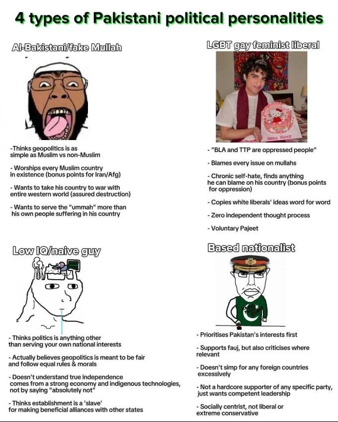 Four common types of Pakistanis.webp