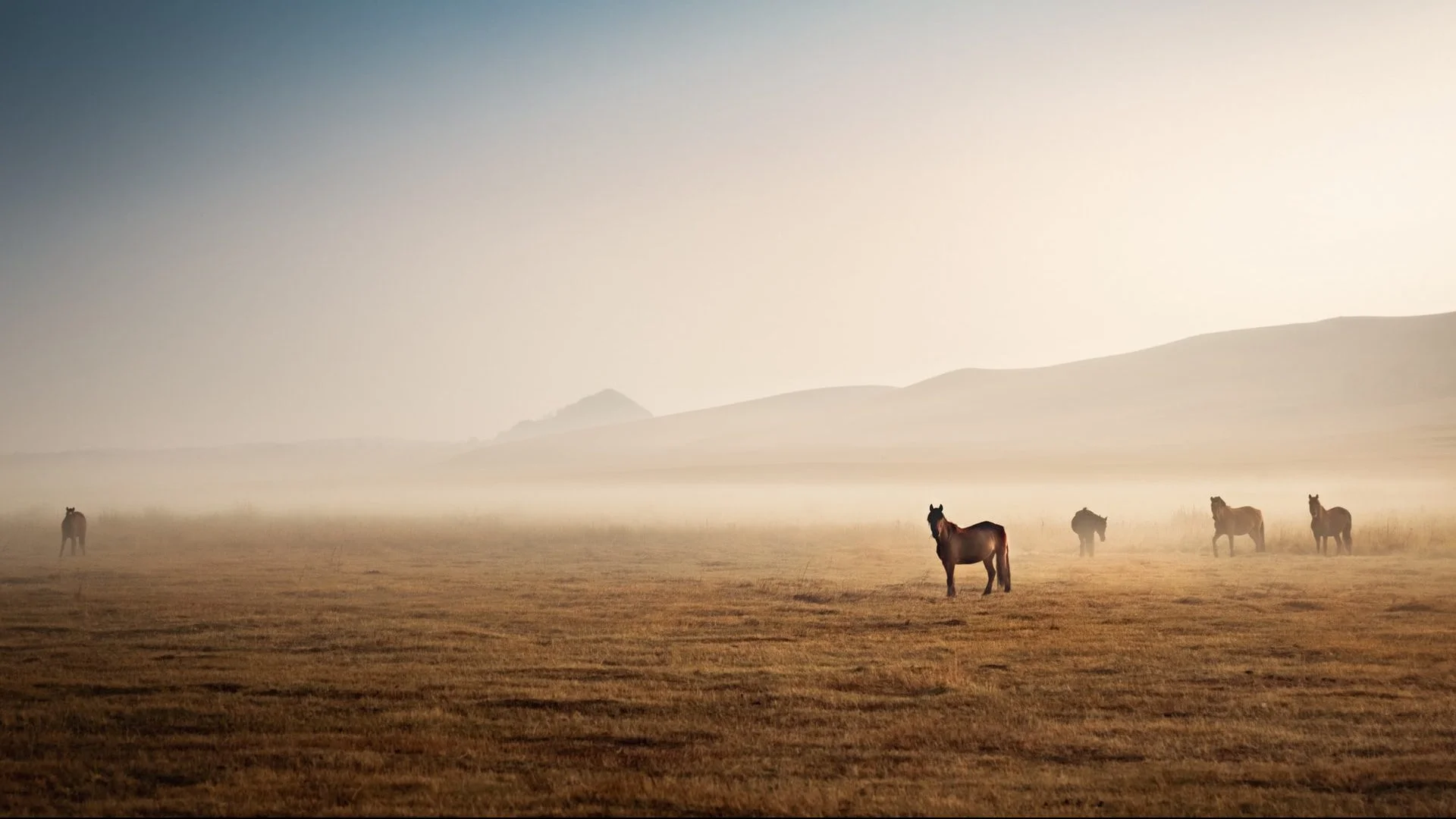 joseph-daniel-7FprFl6VIu8-unsplash-e1646213261671.webp