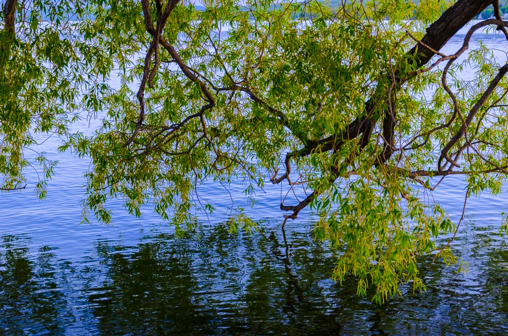 OutNAbout-0191-.webp