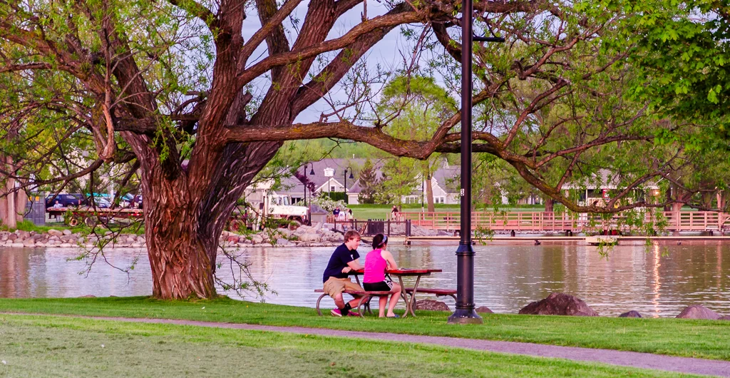 OutNAbout-0202-.webp