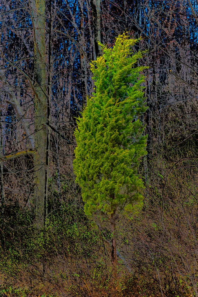 OutNAbout--1033.webp