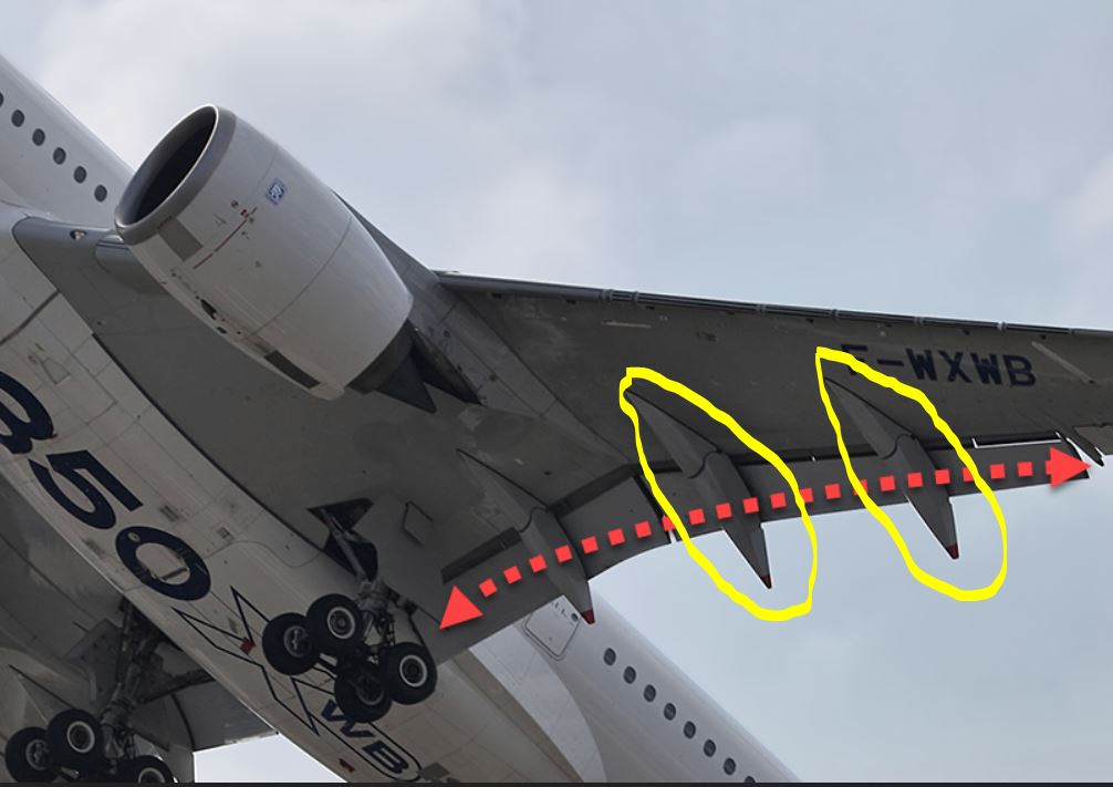 wingthing.JPG