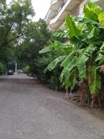 IMG-20241016-WA0071.webp