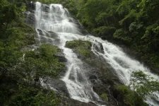 1779357935411.webp