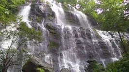 1779358278079.webp