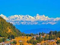 1781070889941.webp